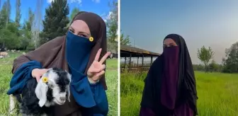 Sena Düzgün neden intihar etti? İlahiyat öğrencisine ne oldu?