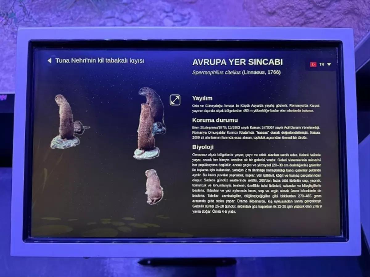 Rehberim Türkçe Projesi Romanya'da Başladı