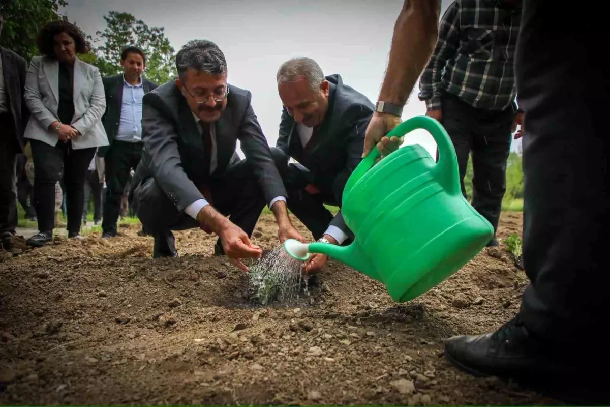 Hakkari'de Fide Dağıtım Etkinliği: Vali Ali Çelik'ten Tarım Destekleme Mesajı