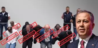 6 ilde 23 uluslararası suçlu yakalandı