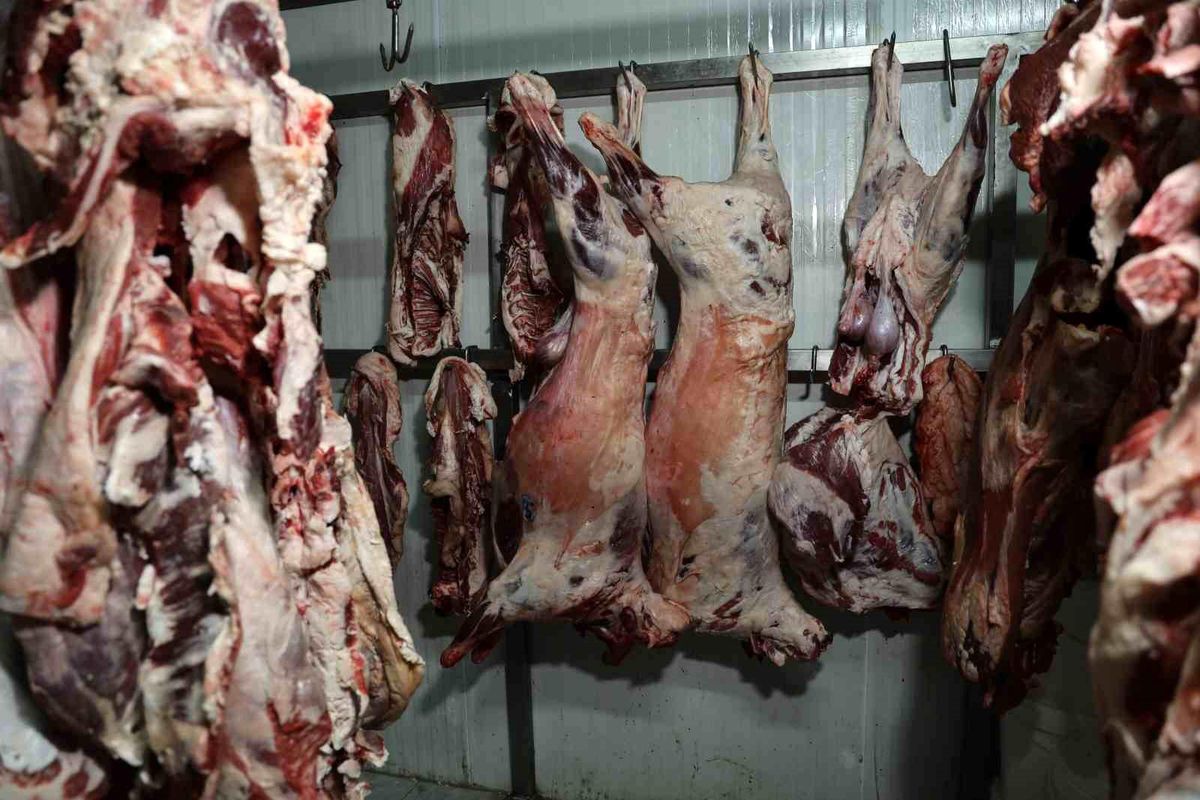 Adana'da At ve Eşek Eti İhtimali Kasapları Rahatsız Ediyor