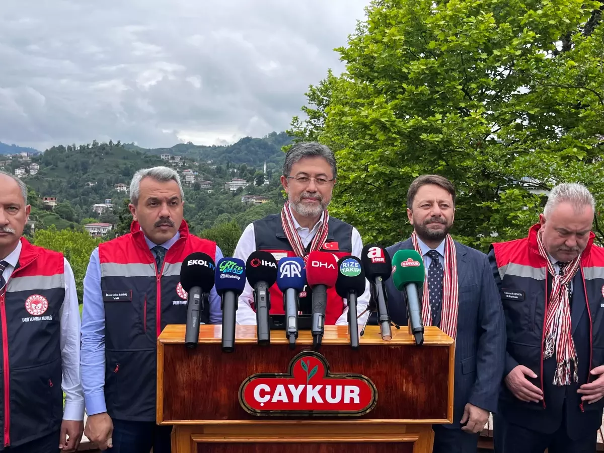 Bakan Yumaklı: Çay Üretimi İklim Değişikliğinden Olumsuz Etkilenmedi