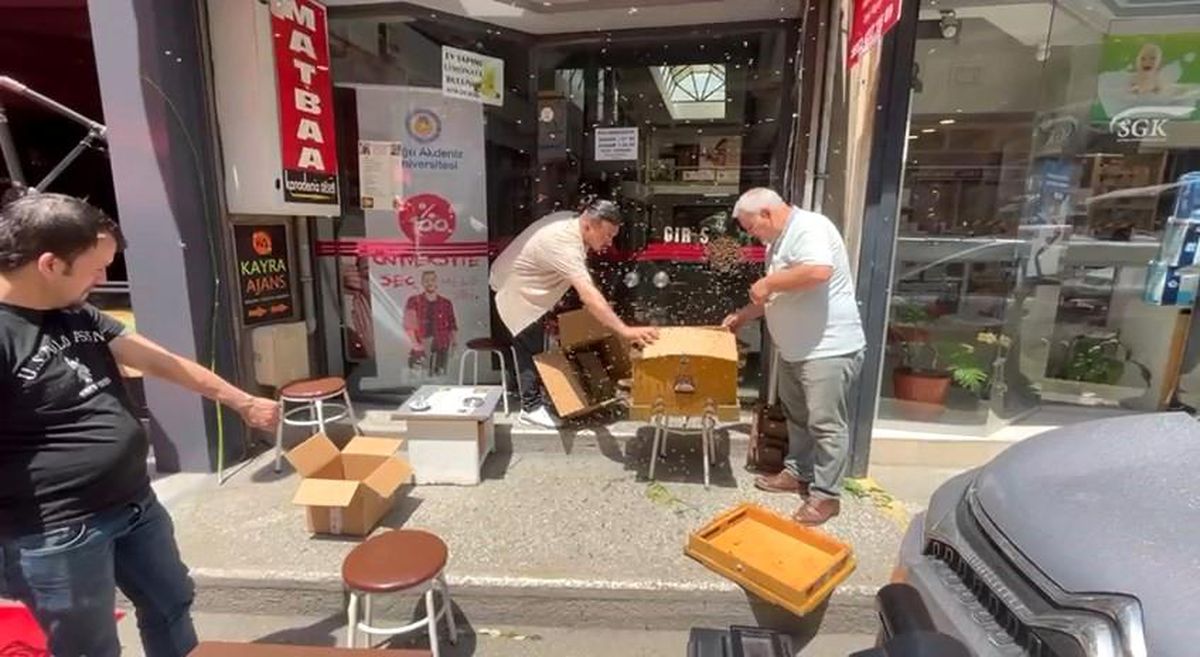 Bursa'daki İş Merkezini Basan Arılar Korku Yarattı