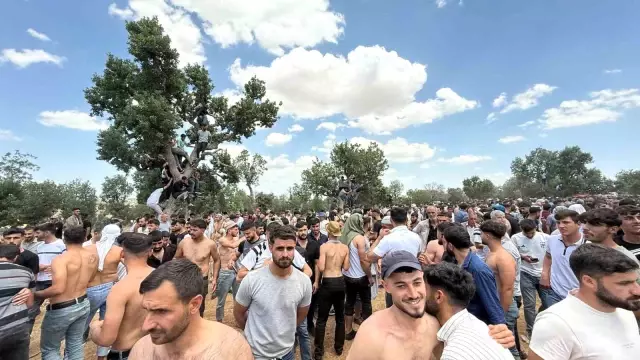A 300-year-old tradition in Diyarbakır: Our grandfathers don't know why, it should end now