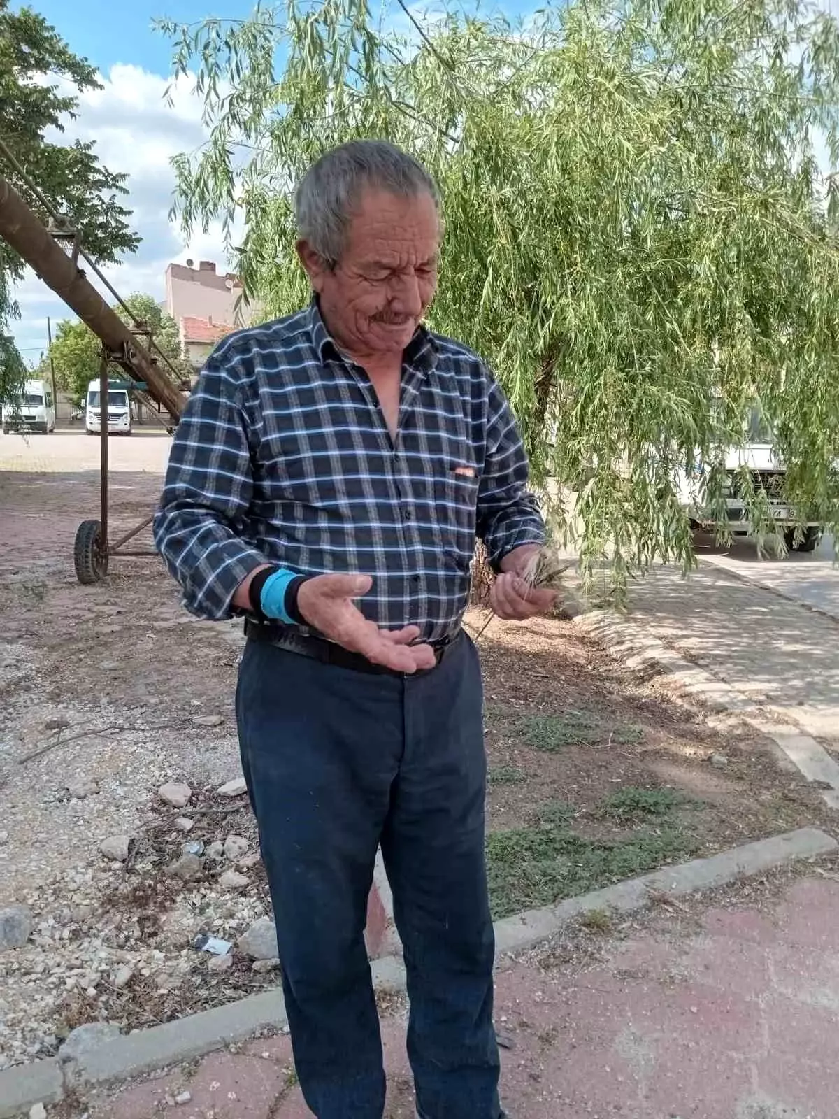Mihalıççık'ta Zirai Don, Buğday ve Arpa Üretimini Olumsuz Etkiledi