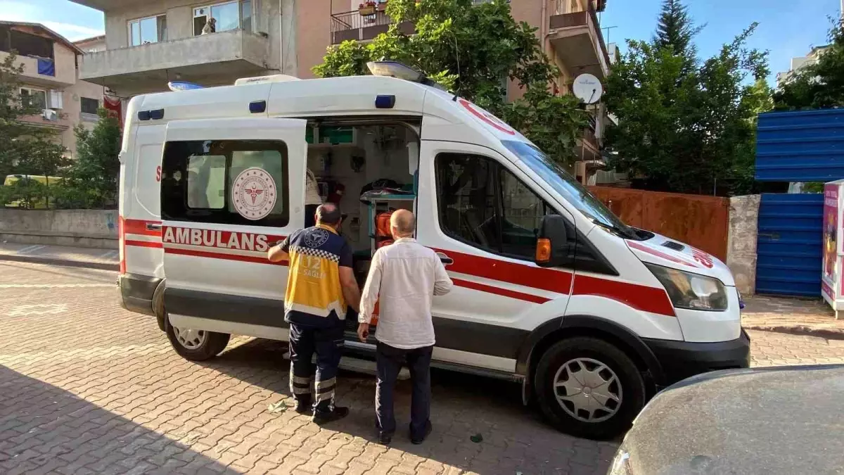 Ihlamur Toplamak İçin Ağaca Çıkan Yaşlı Adam Yaralandı