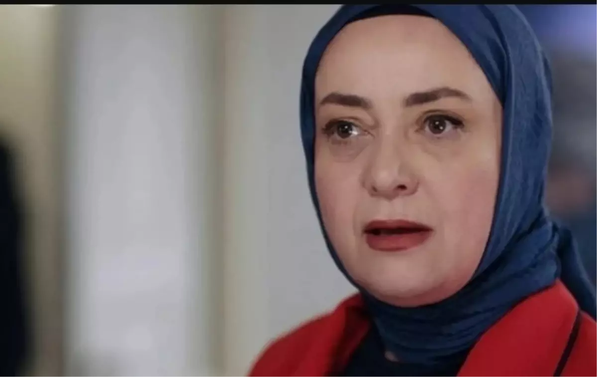 Kızılcık Şerbeti Pembe hangi dizide oynayacak?