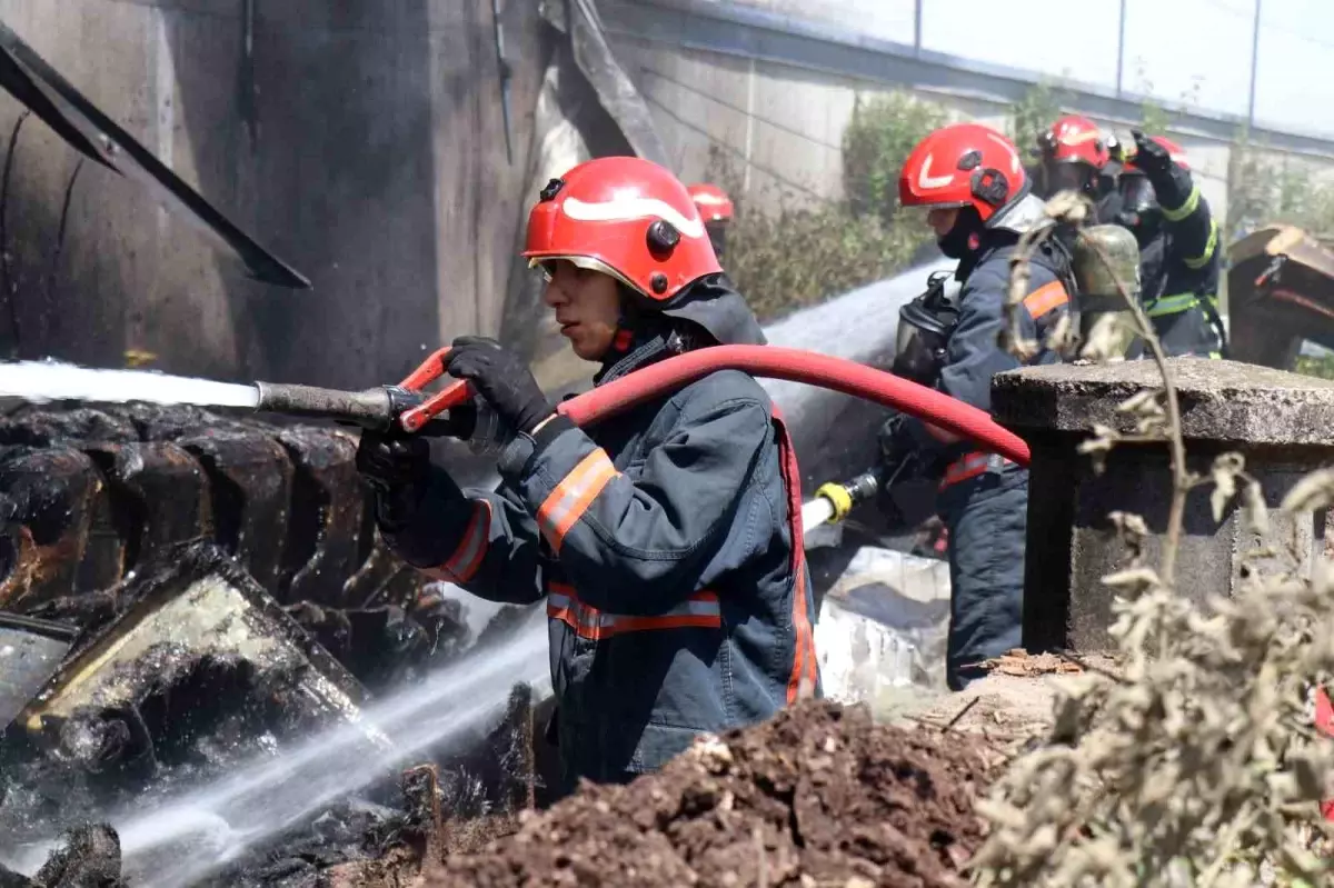 Sakarya'da Kontrplak Fabrikasında Yangın Çıktı