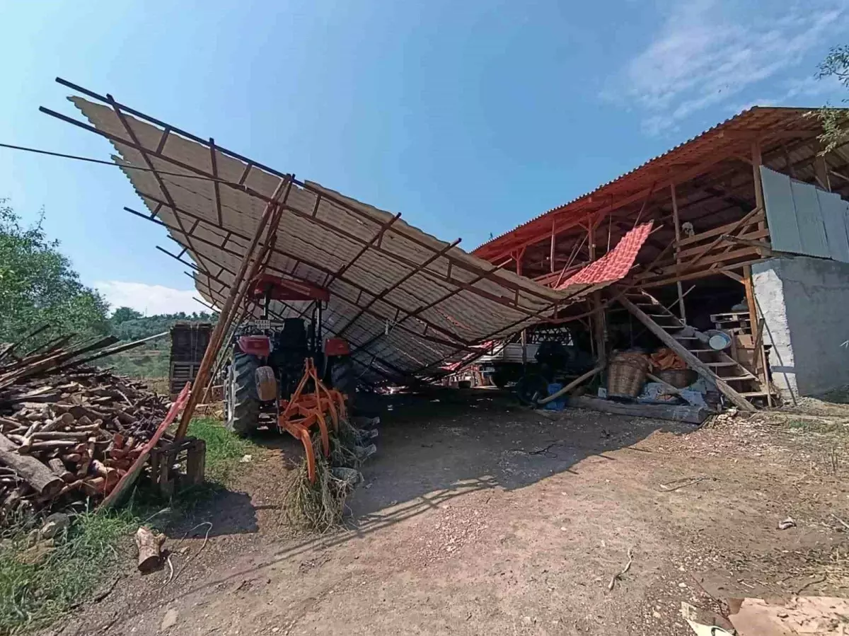 Muğla'da Dolu ve Sağanak Yağış Tarım Alanlarında Hasara Yol Açtı