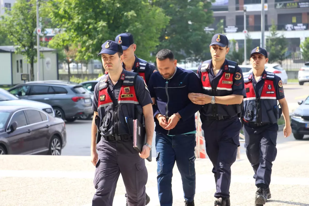 Bolu'da Ormanda Yetiştirilen Kenevirler Ele Geçirildi
