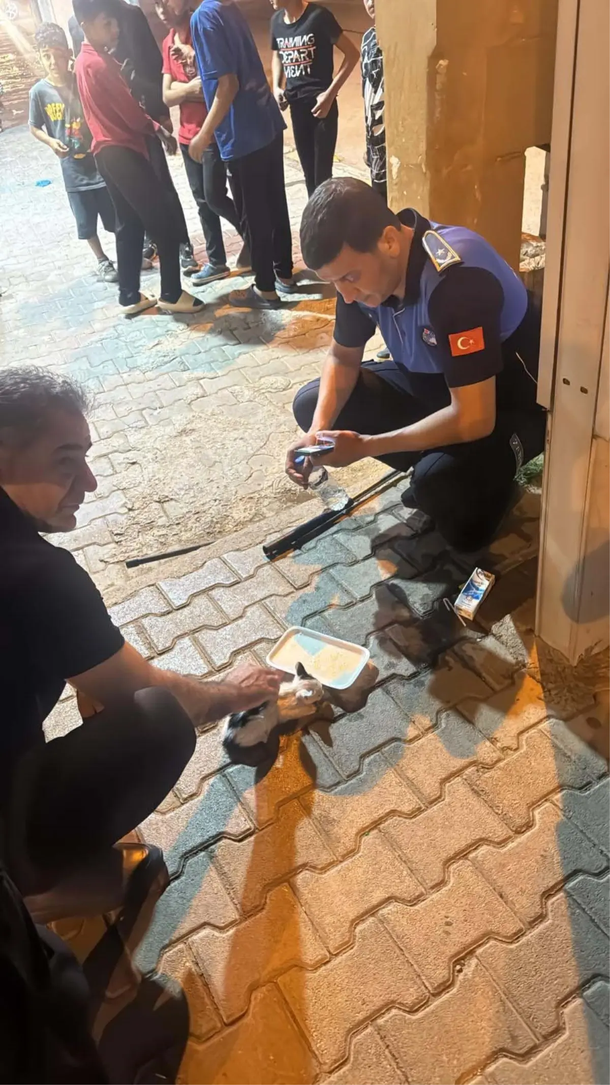 Reyhanlı'da Zabıta Ekibi Mahsur Kalan Yavru Kediyi Kurtardı