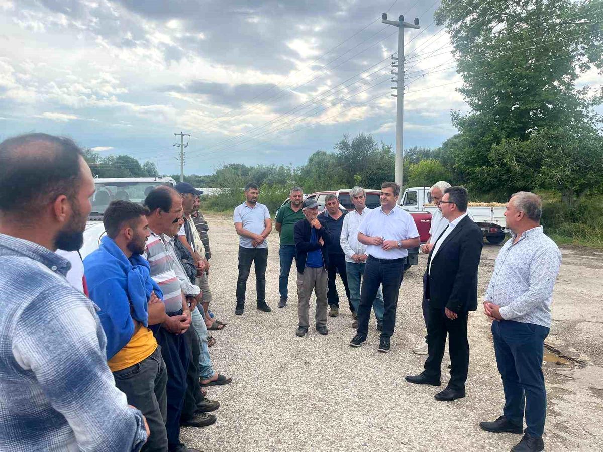 Serik'te Dolu Yağışı Tarım Ürünlerine Zarar Verdi