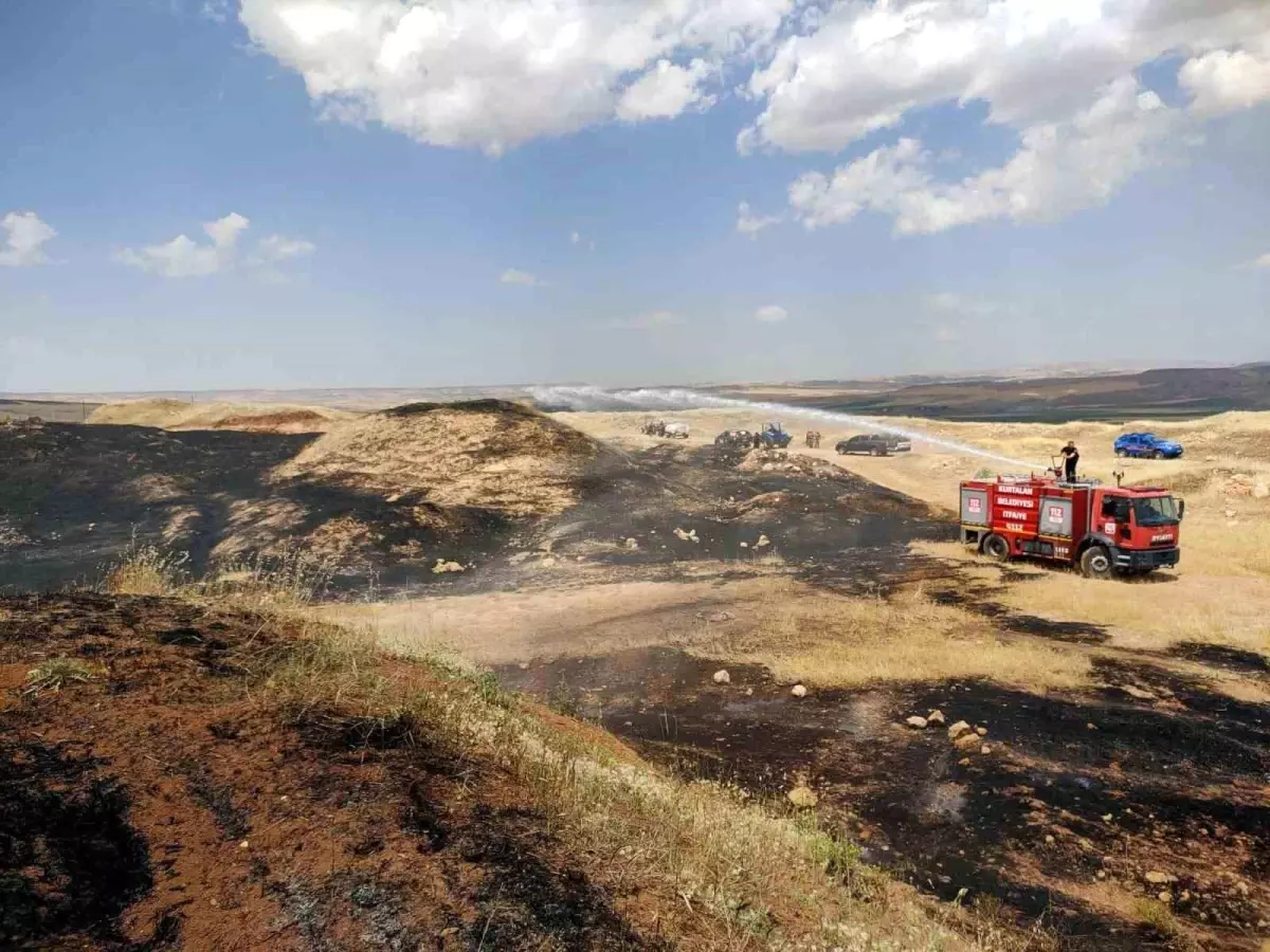Siirt'te Yangın: 60 Dönüm Arazi Zarar Gördü