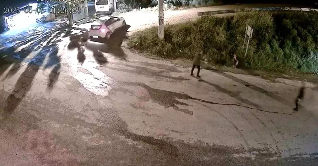 Aydın'da Silahlı Saldırı Olayının Güvenlik Kamerası Görüntüleri Ortaya Çıktı