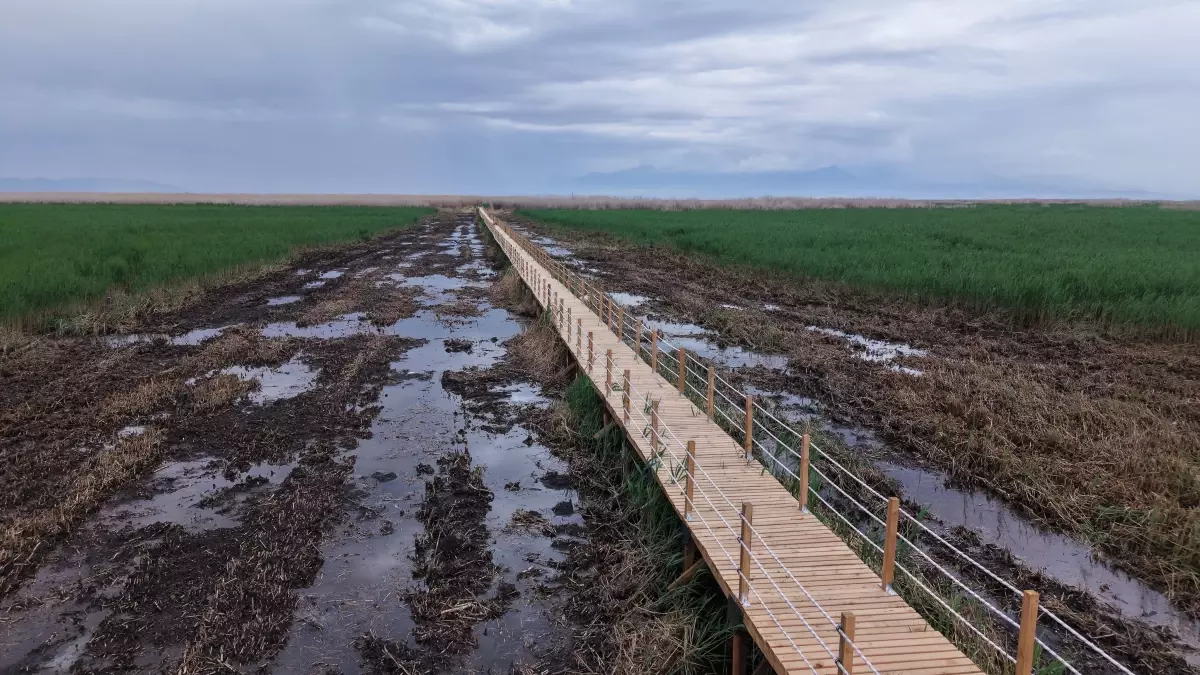 Sultan Sazlığı'ndaki Yürüyüş Yolu Yenilendi