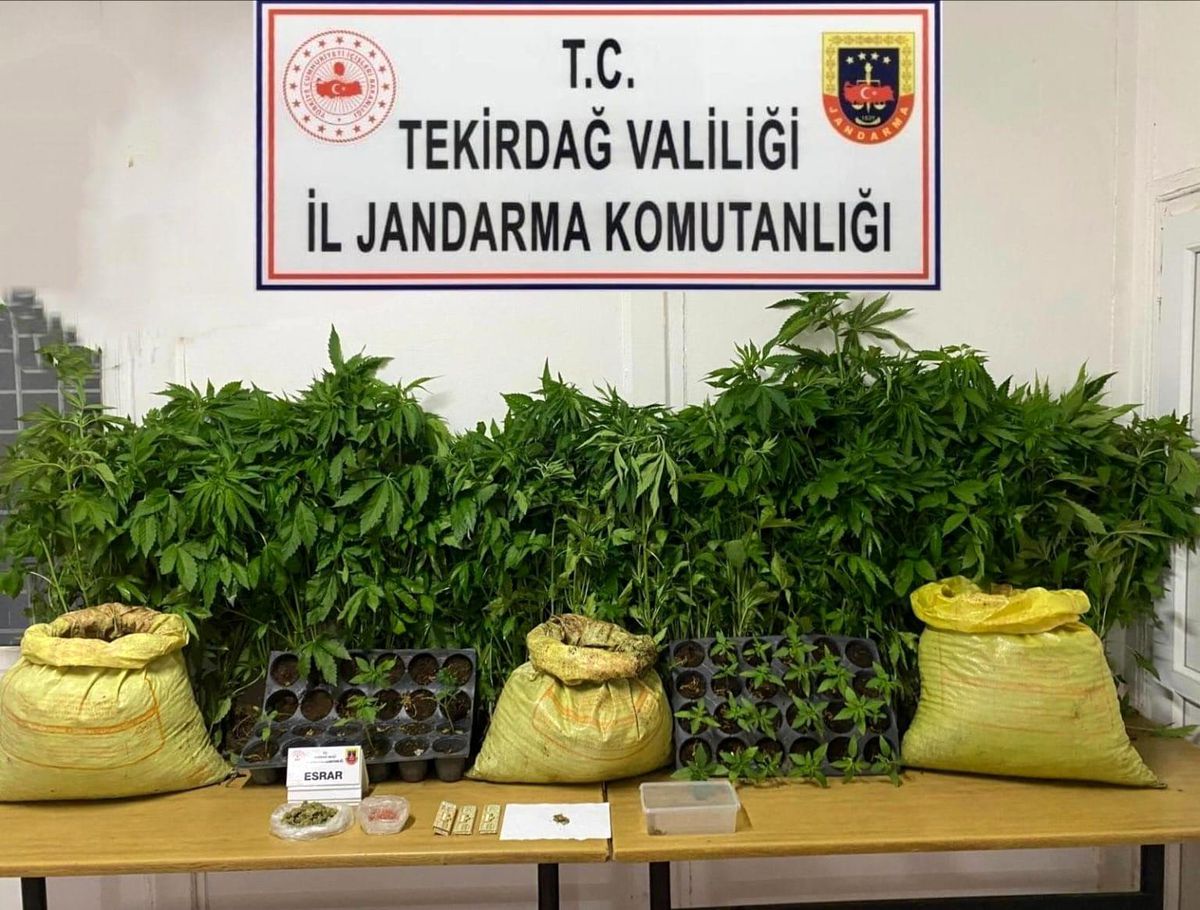 Tekirdağ'da Uyuşturucu Operasyonları: Çok Sayıda Şahıs İşlem Gördü