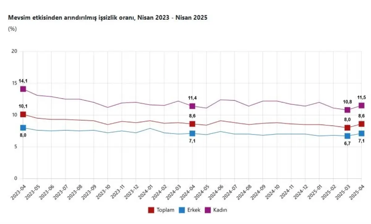 Nisan 2025 İşsizlik Oranı Açıklandı: Yüzde 8,6