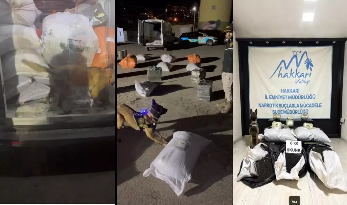 Yüksekova'da Kargo Aracında 6 Kilo Skunk Ele Geçirildi