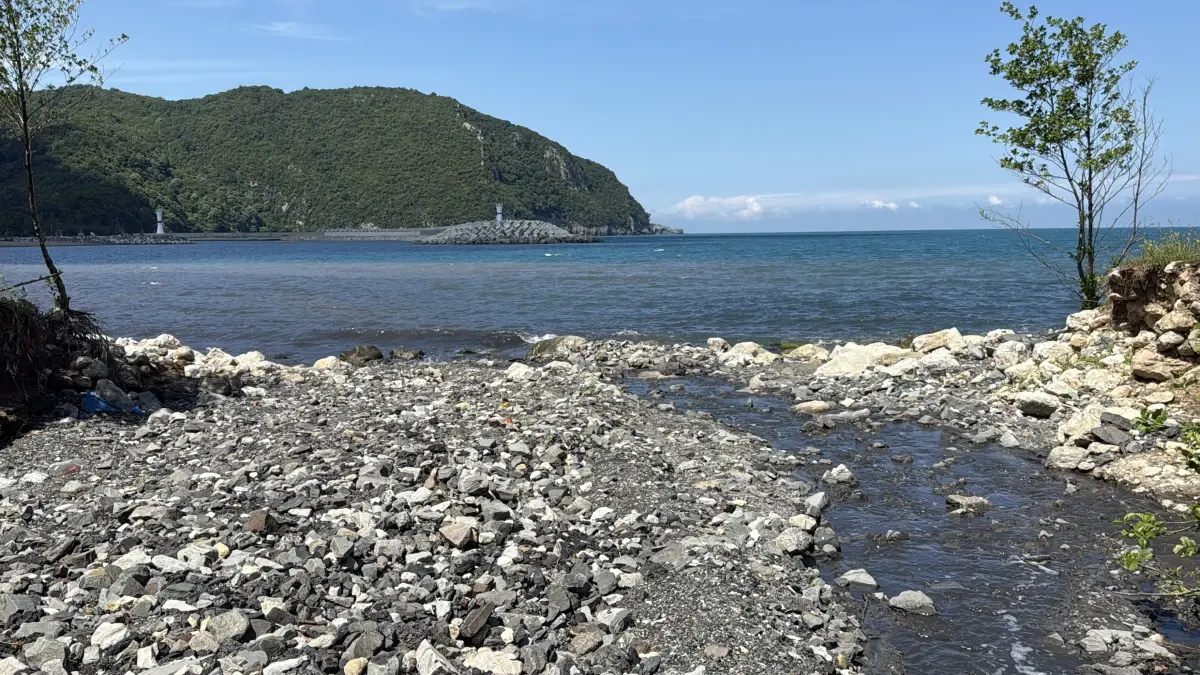 Amasra'da Sahil Kirliliği: İncelemeler Başlatıldı