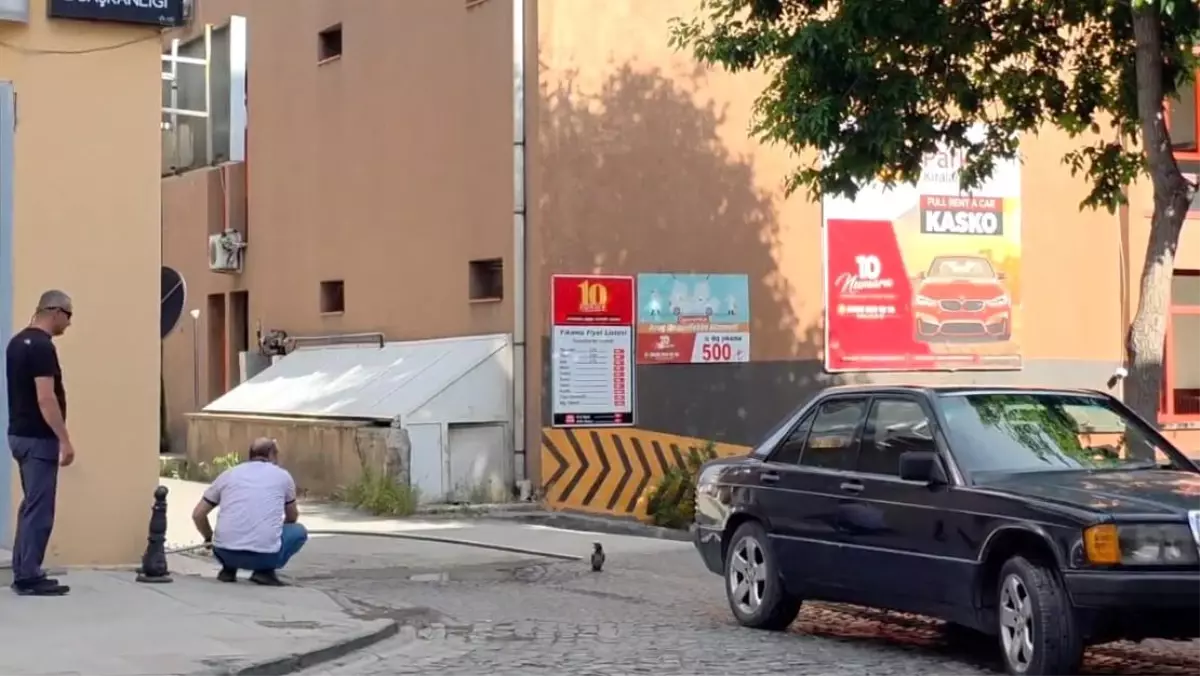 Duyarlı Vatandaşlar Yavru Kargayı Kurtardı