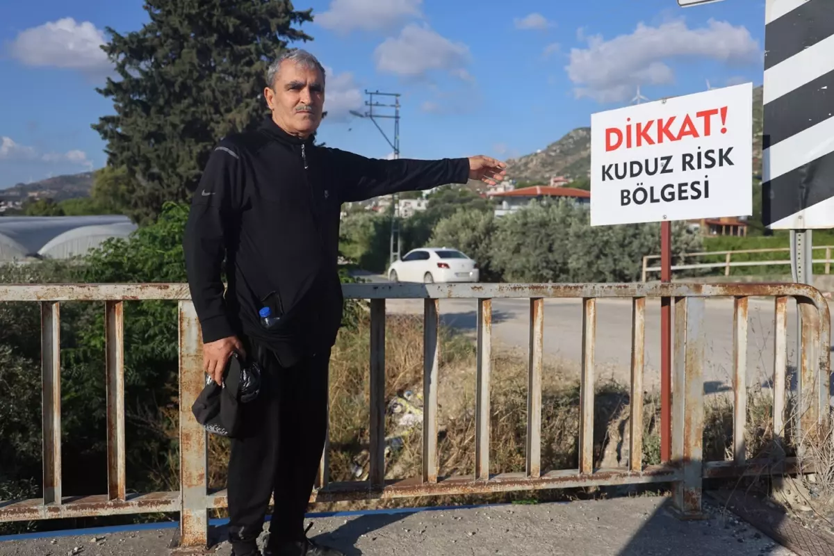 Hatay'da 4 mahalleye kuduz karantinası, vatandaş sokağa çıkarken tedirgin