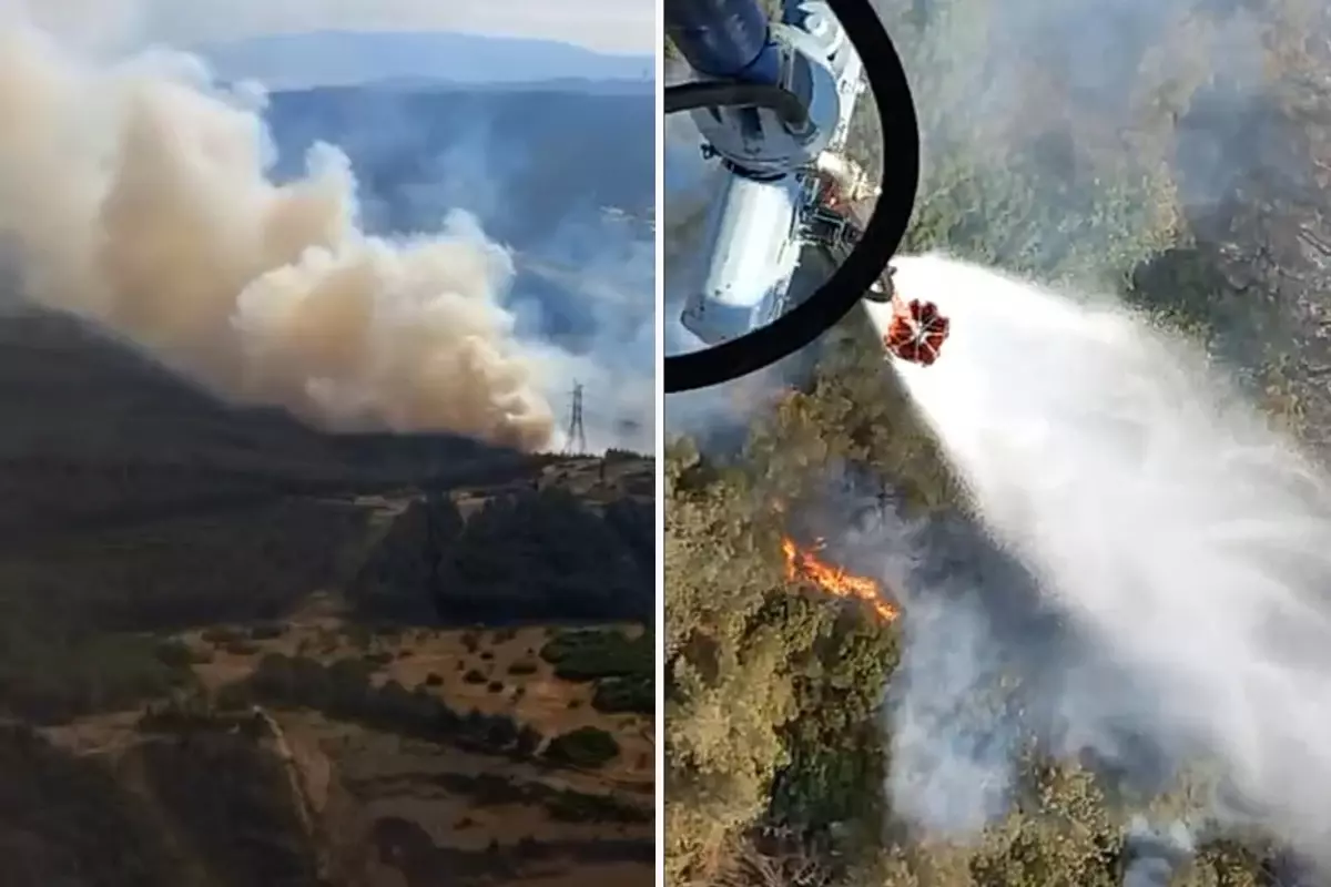 İzmir Aliağa'da orman yangını! Alevlere müdahale devam ediyor