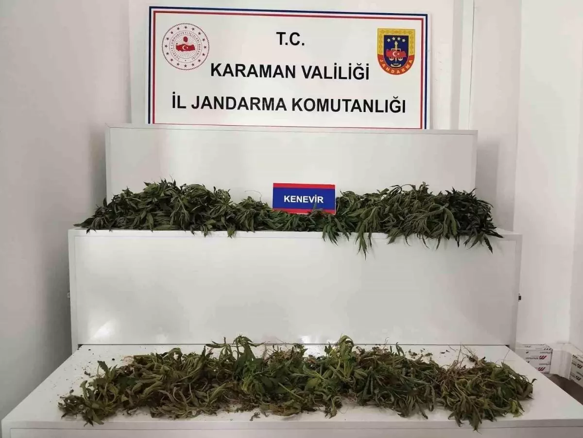 Karaman'da Jandarma Uygulamaları: 5 Tutuklama ve Çok Sayıda Ele Geçirme