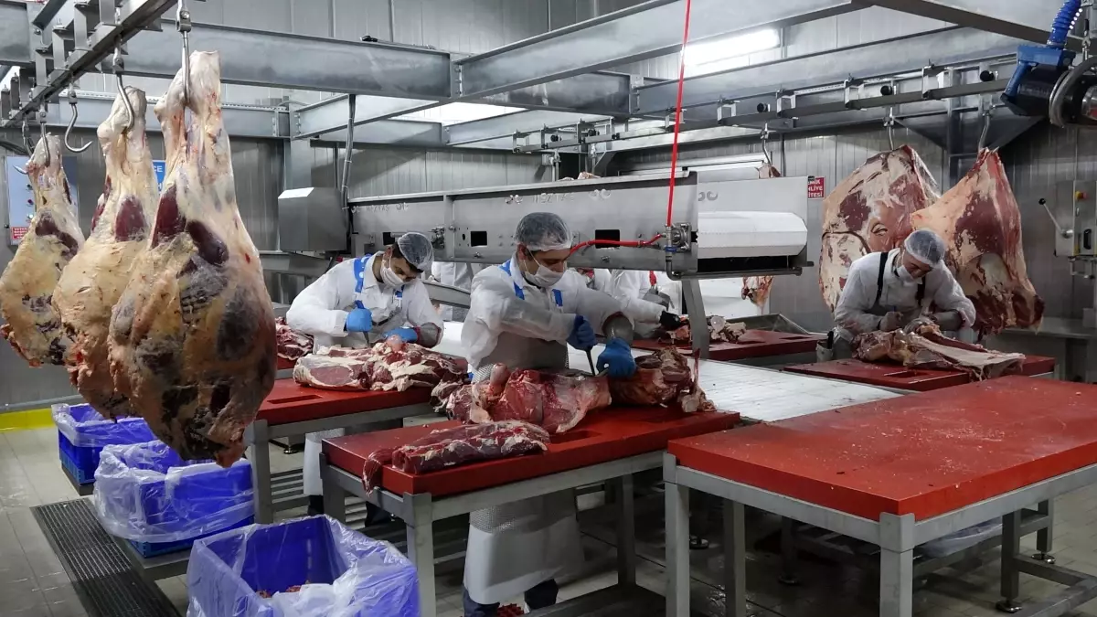Kurban Eti Tüketimi İçin Uzmanlardan Öneriler