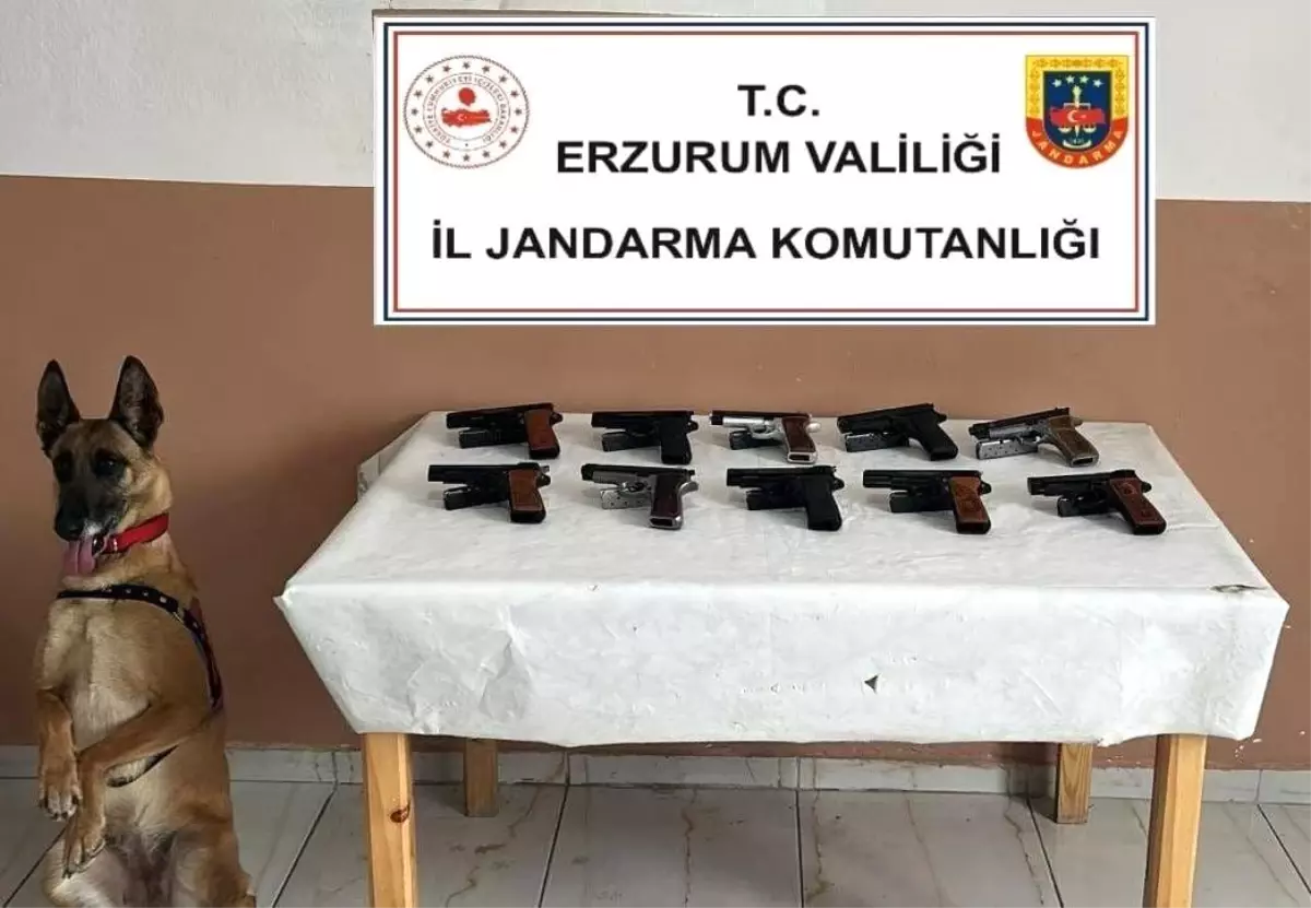 Oltu'da Jandarma Operasyonu: 10 Ruhsatsız Tabanca Ele Geçirildi