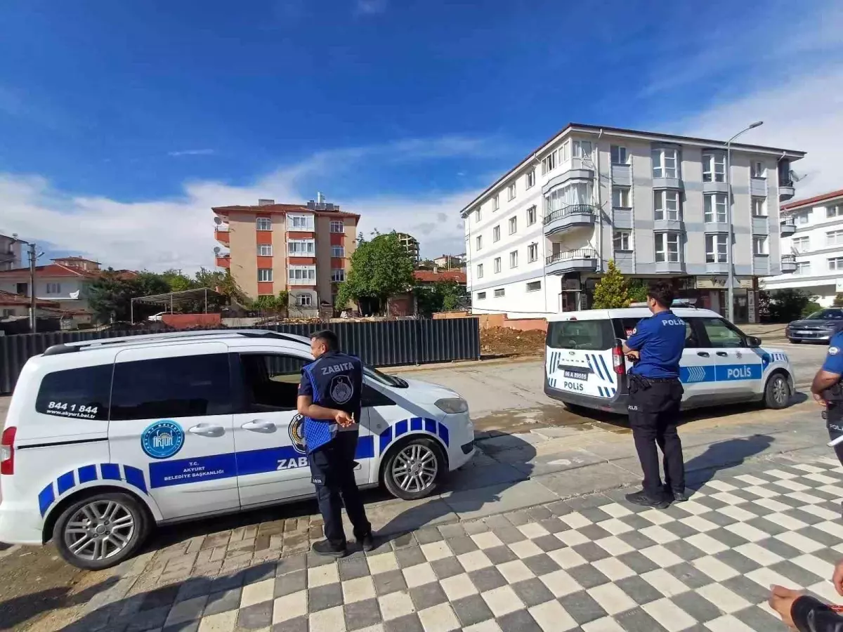 Akyurt'ta Kaçan Dana Kadına Çarptı