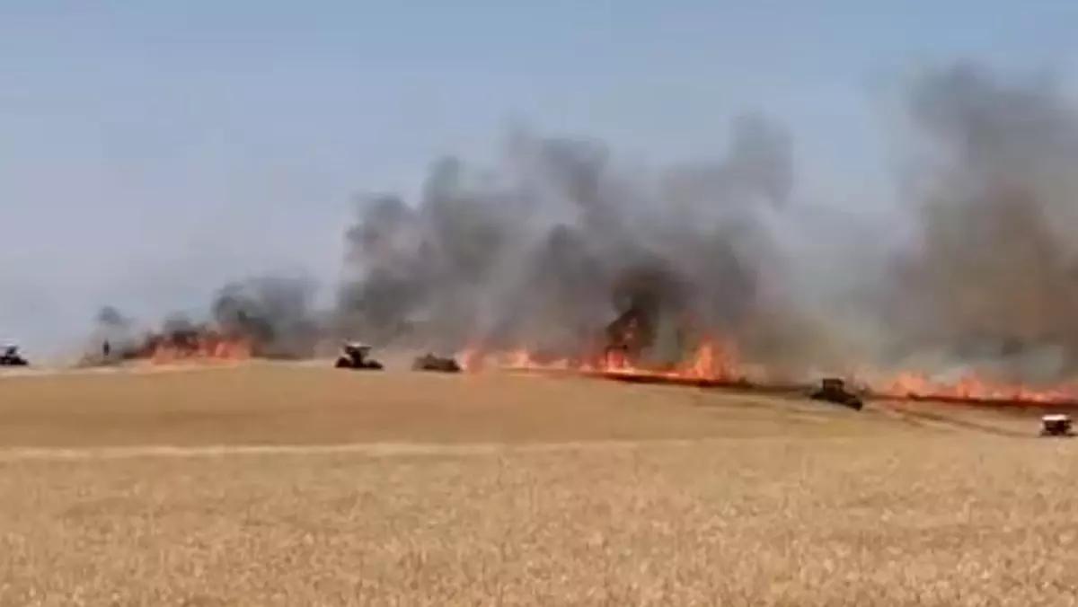 Diyarbakır'da Buğday Ekim Alanında Yangın: 120 Dönüm Zarar Gördü