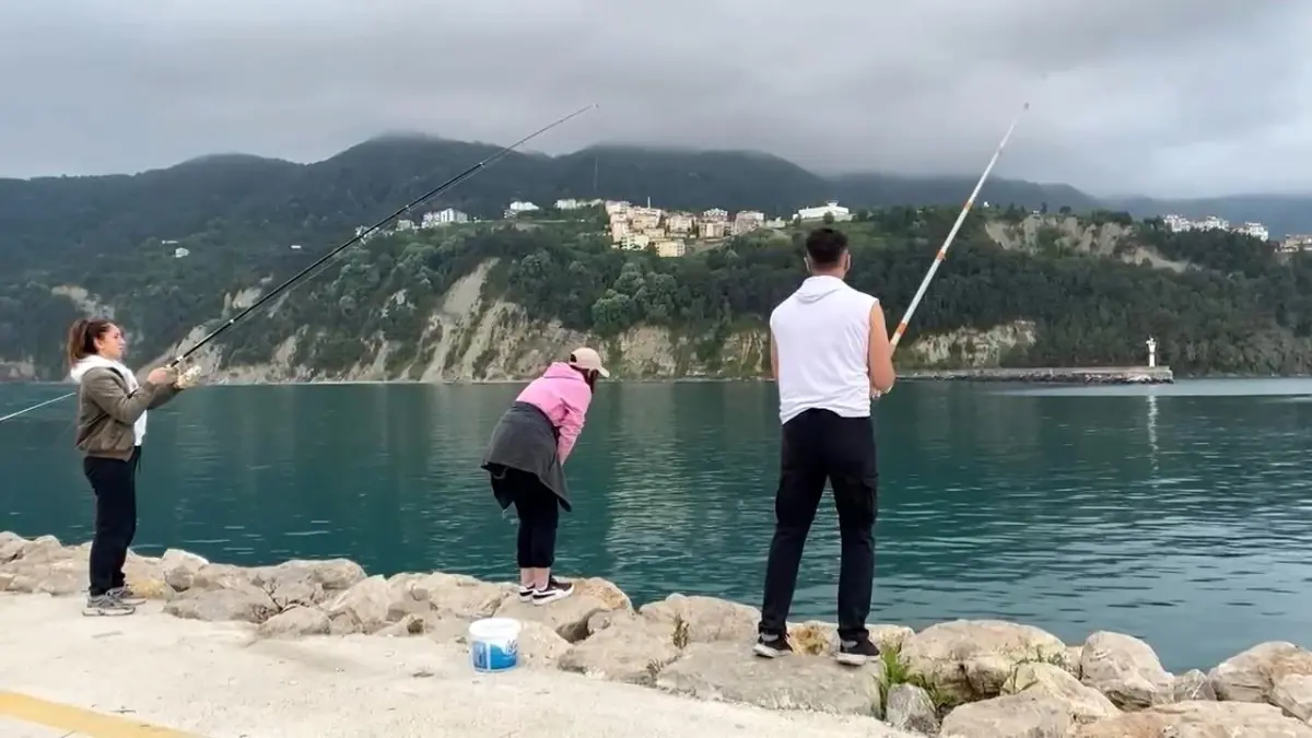Amasra'da Balık Avı Heyecanı