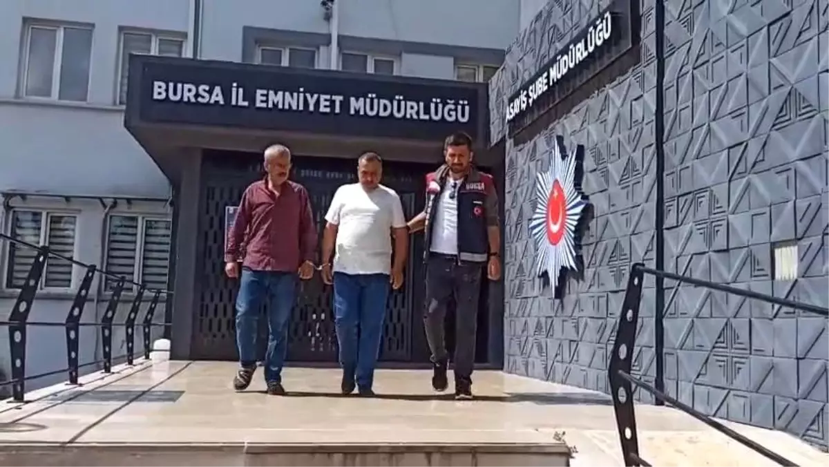 Hasanağa Enginarı Hırsızların Hedefi Oldu