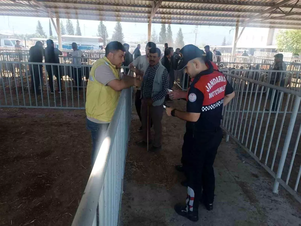 Aydın'da Kurban Bayramı Öncesi Hayvan Pazarında Güvenlik Denetimleri