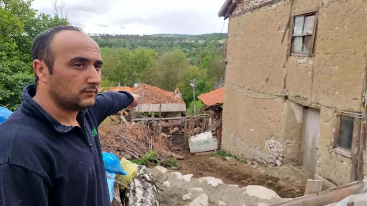 Kütahya'da Kurt Saldırısı, 25 Koyuna Zarar Verdi