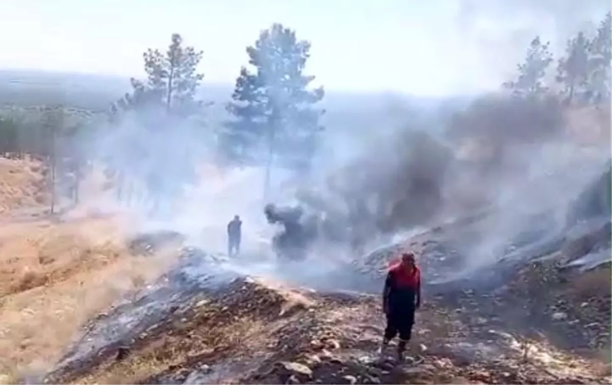 Şanlıurfa'da Sigara Izmaritleri Yangınlara Neden Oldu