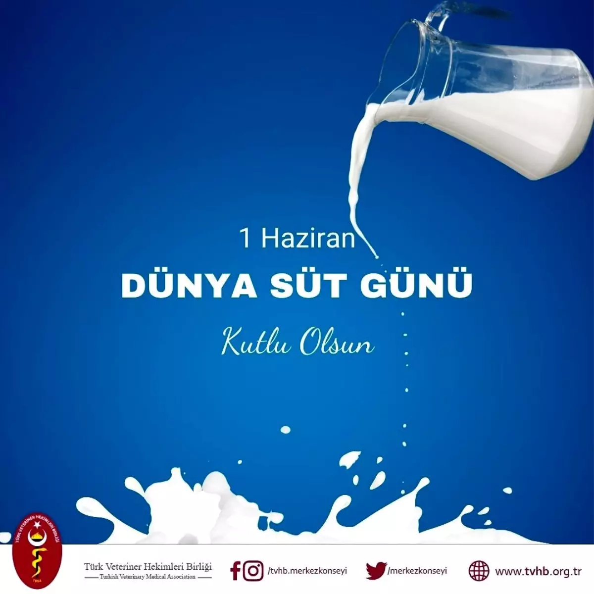 Sütte Kalite ve Sorunlar Üzerine Açıklama