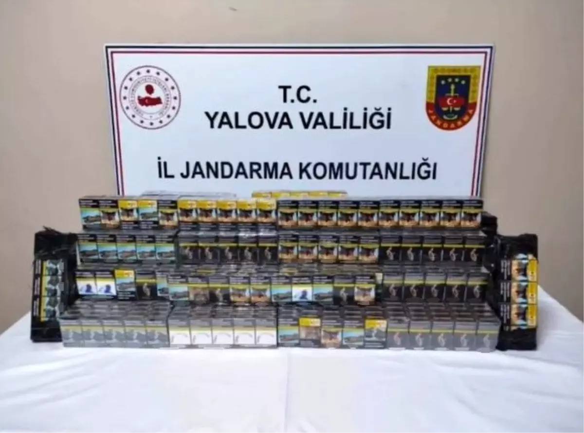 Yalova'da Yasa Dışı Sigara Kaçakçılığı Operasyonu: 1350 Paket Ele Geçirildi