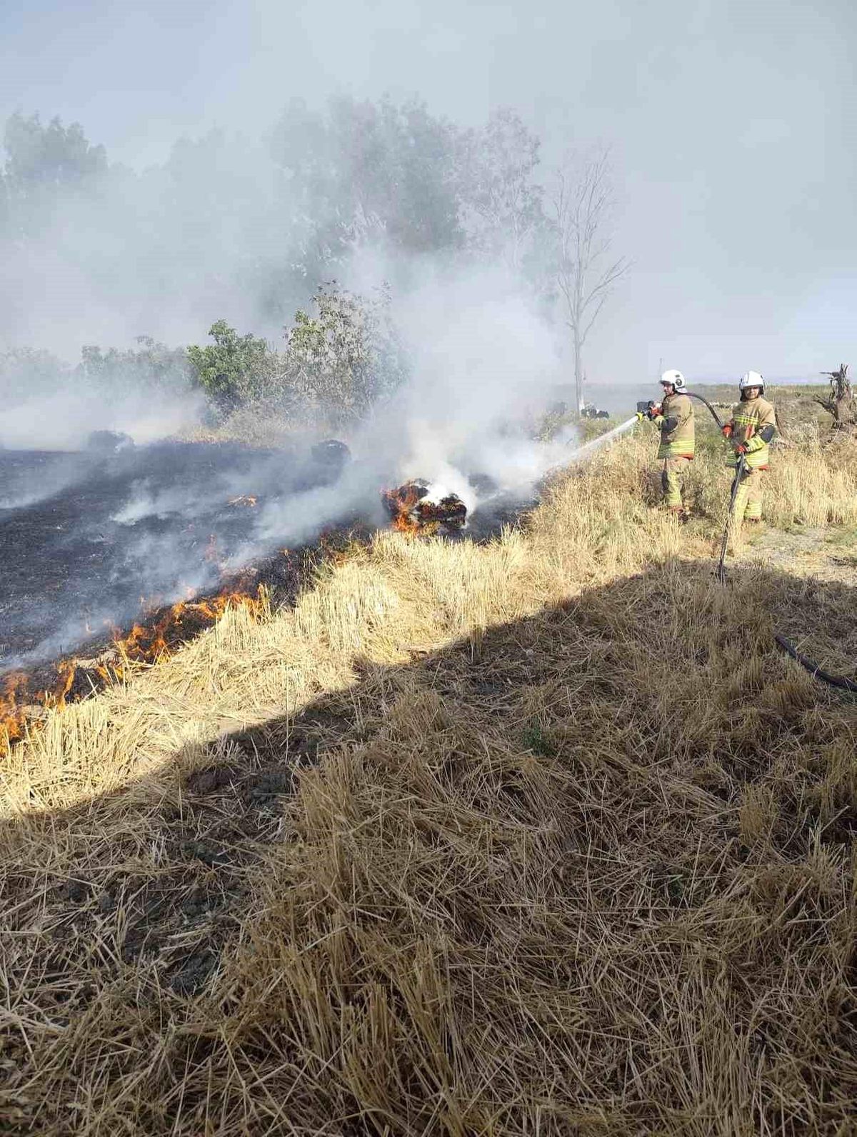 Hatay'da Saman Balyaları Yangında Zarar Gördü