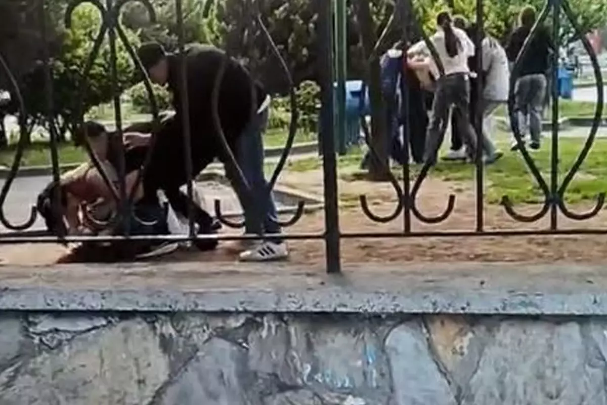 Parkta kızların da olduğu 3 grup birbirlerine acımasızca vurdu