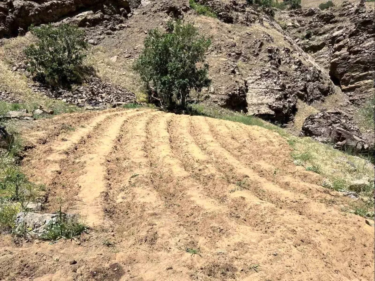 Bingöl'de Uyuşturucu Operasyonu: Kenevir ve Metamfetamin Ele Geçirildi