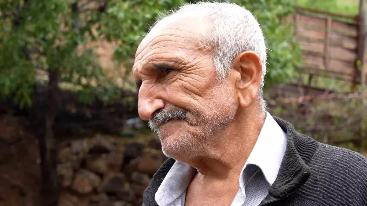 Kırıkkale'de Kurt Saldırısı: 16 Küçükbaş Hayvan Telef Oldu