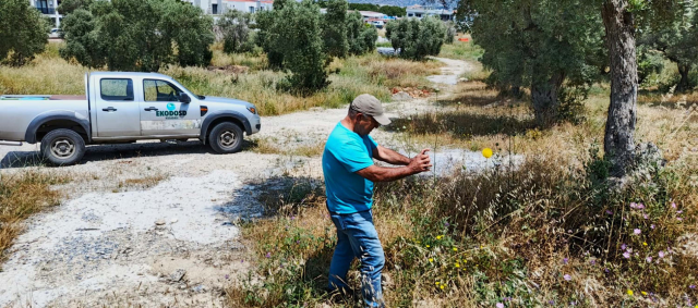 The penalty for picking blooming Tülüşah is 557 thousand TL