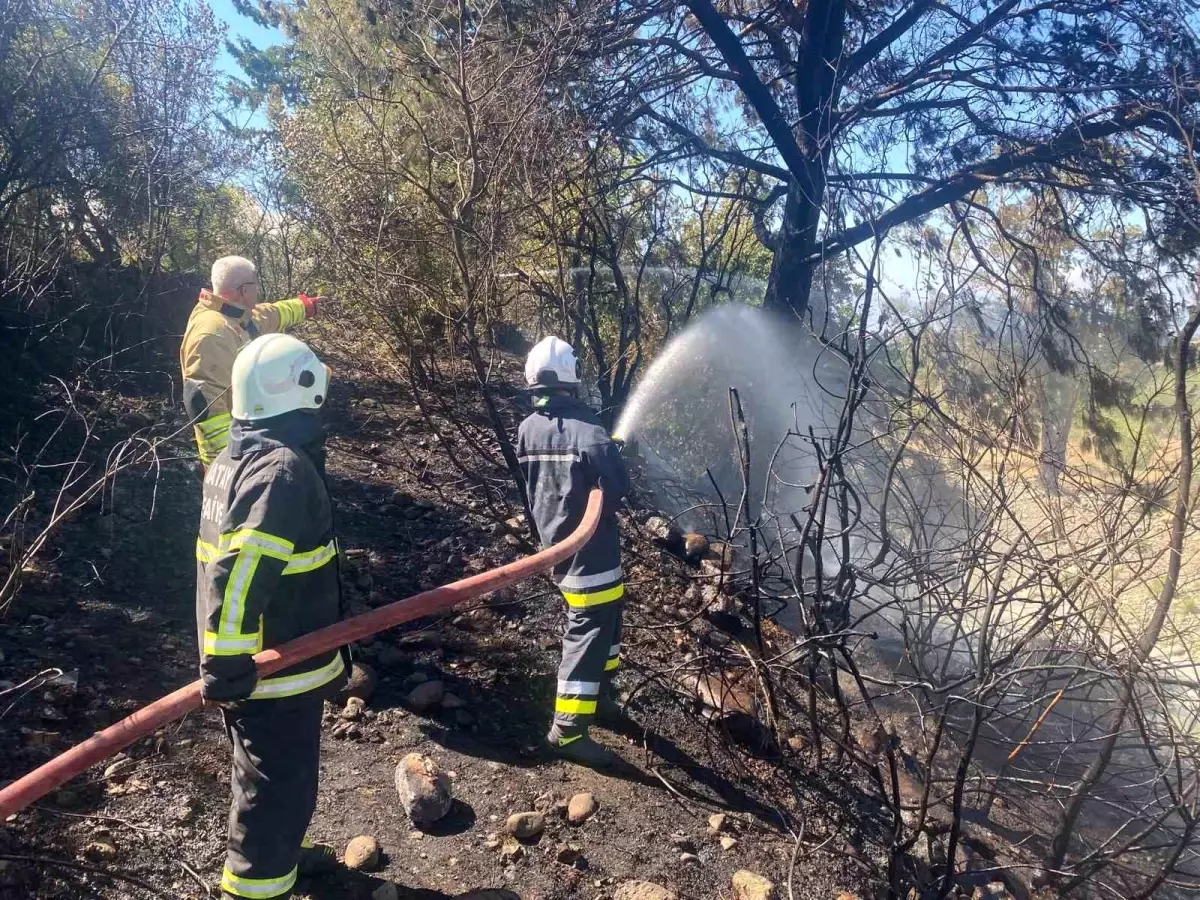 Hatay'da Ormanlık Alanda Yangın Kontrol Altına Alındı