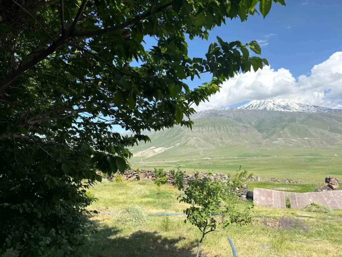 Karagüney Köyü'nde Ağaçlandırma Seferberliği