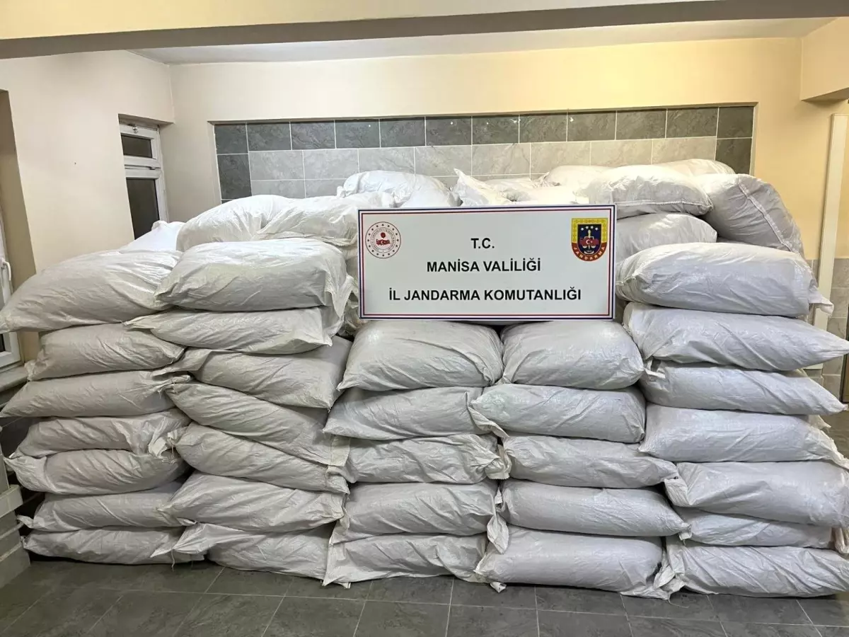Manisa'da Jandarma Operasyonu: 7900 Kilogram Tütün ve 75 Bin TL Ele Geçirildi