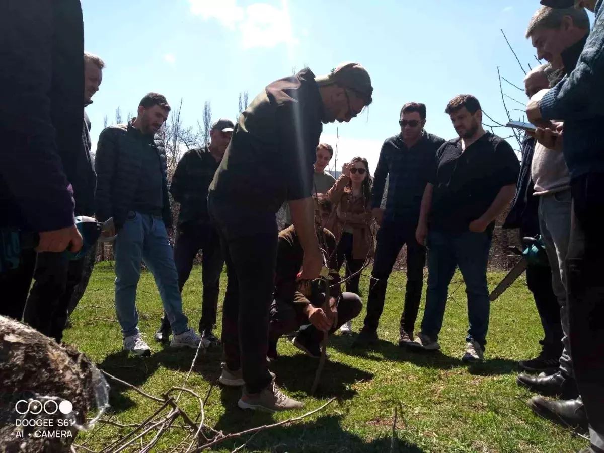 Posof'ta Meyve Ağaçları Budama ve Aşılama Kursu Düzenlendi