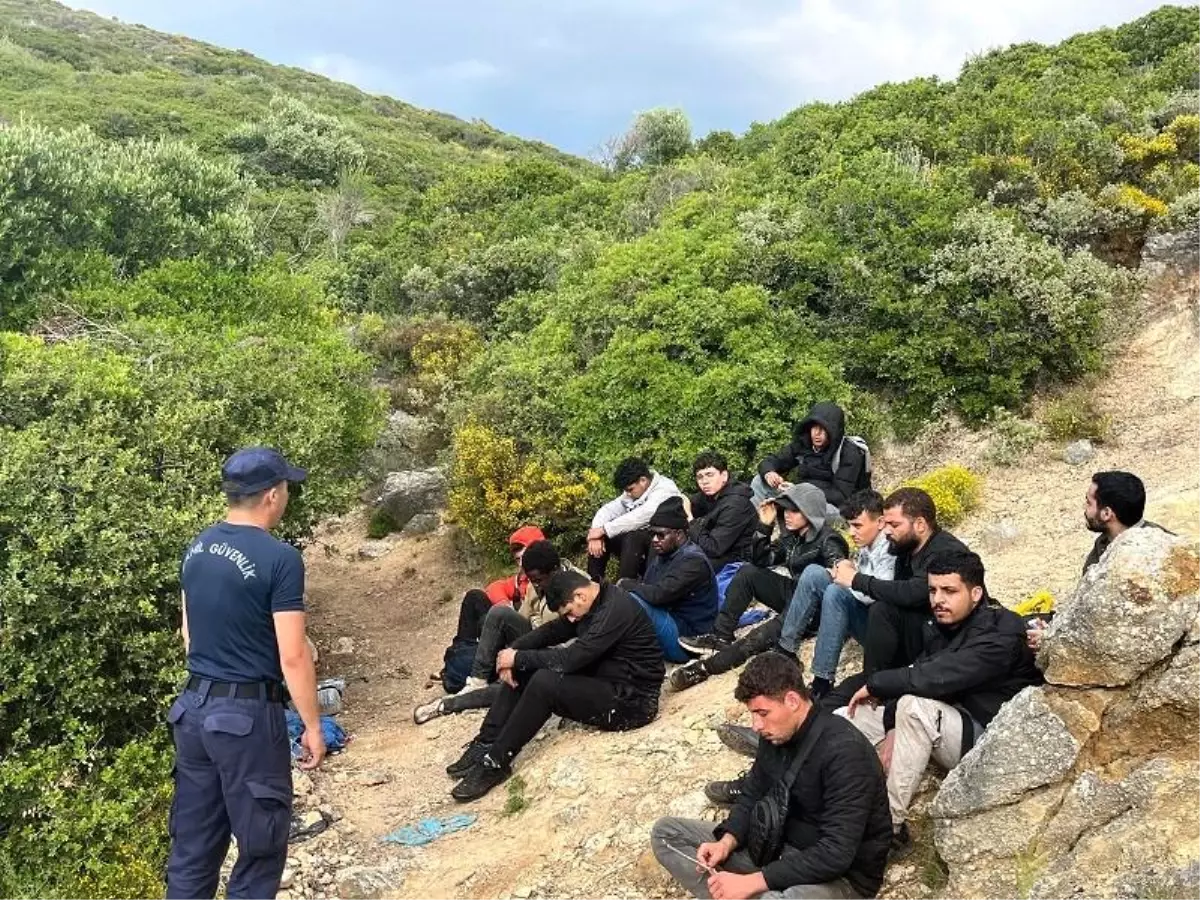 İzmir'de Yasa Dışı Göçmen Operasyonu: 44 Göçmen Yakalandı