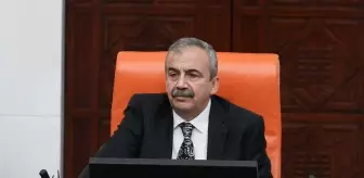DEM Parti'nin yeni Meclis Başkanvekili Pervin Buldan oldu