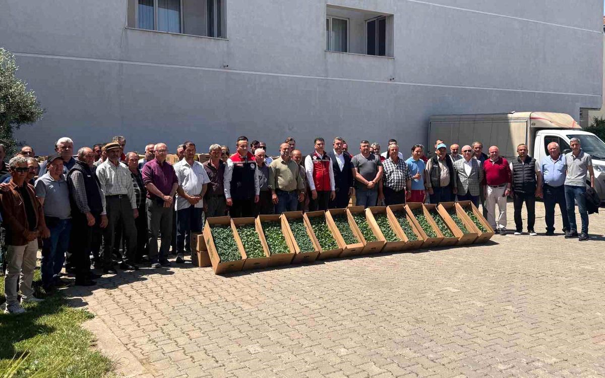 Tekirdağ'da Sebzecilik Projesi: 314 Üreticiye Fide Dağıtıldı